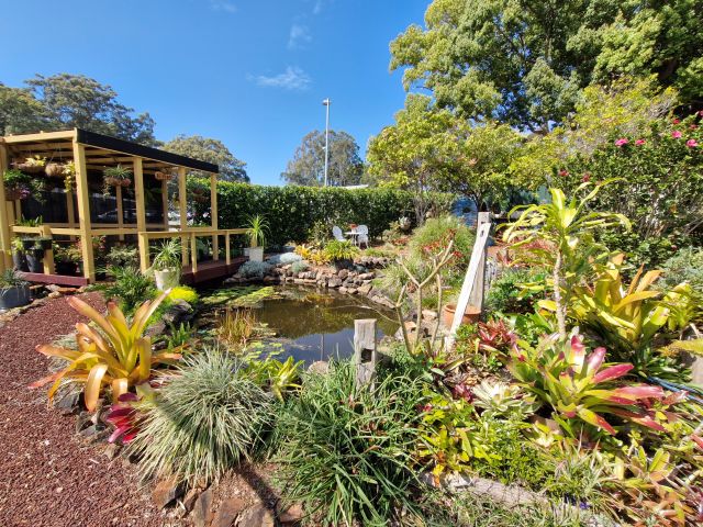 The Pond Garden - a favourite for Wedding Photos