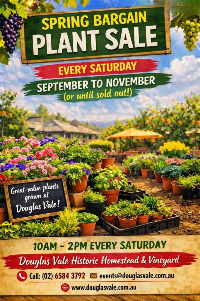 Spring Bargain Plant Sale next on