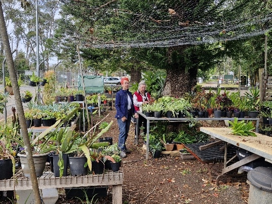 Volunteers in the Nursery
