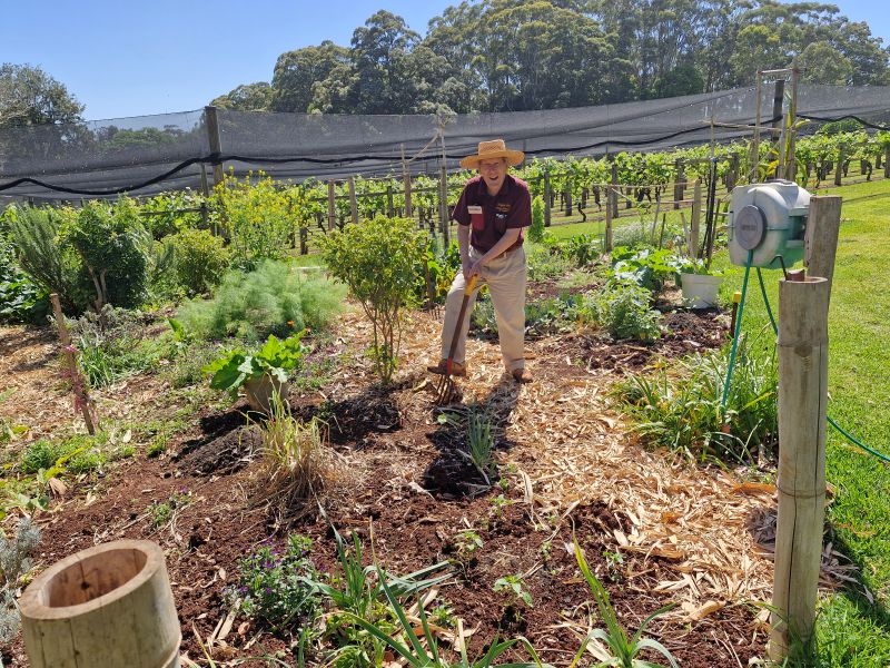 John in the veggie garden